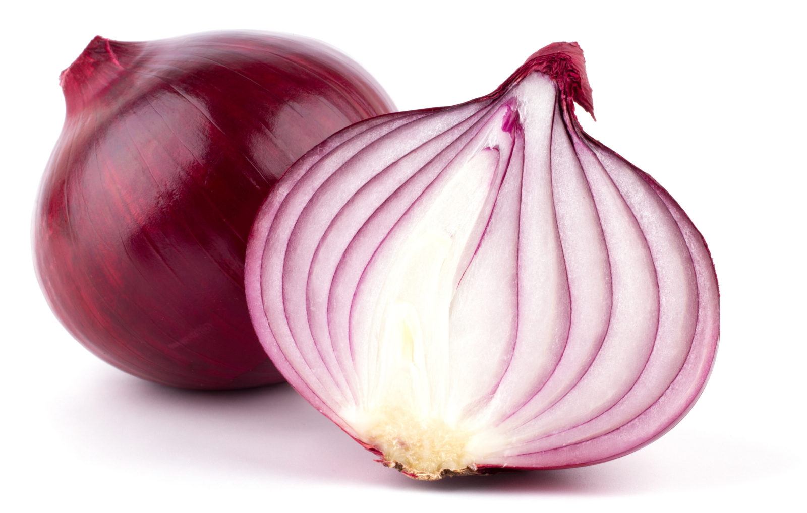 The Best Onion Sites